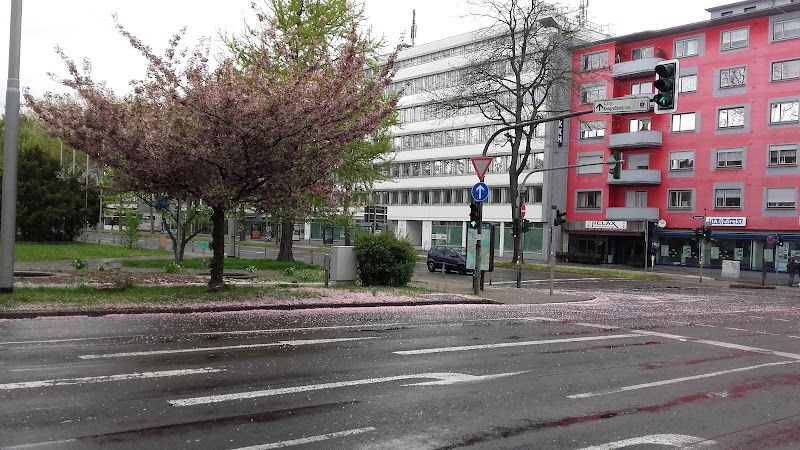 Negocio Hanse Haus